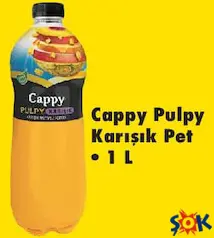 CAPPY PULPY KARIŞIK PET MEYVE SUYU 1 L fiyat ve kampanya bilgisi